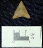     18HA133-wilke-thompson-HA-B-15-1-triangular-point-2.jpg - Triangular point from Site 18HA133, Aberdeen Proving Ground, Maryland (Photograph 2 of 2)
        May 13, 2003
