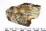    005-024.1a.JPG - Historic body sherd, decorated, Beer stein fragment, no date, from site 12UN283
        
