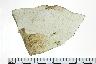     005-038.1a.JPG - Historic rim sherd, decorated, Whiteware, from site 12UN283
        
