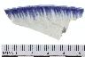     005-106.1a.JPG - Historic rim sherd, decorated, Whiteware, shell edge, 1850-1900, popular, from site 12UN283
        

