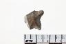    004-009.1a.JPG - Projectile point, Point base, from site 12MI18
        

