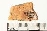     002-017.1a.JPG - Prehistoric body sherd, decorated, from site 12HU430
        
