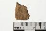     002-122.1a.JPG - Prehistoric body sherd, decorated, from site 12HU446
        
