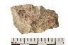     001-013.1a.JPG - Projectile point, from site 12MO133
        
