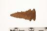     001-016.1a.JPG - Projectile point
        
