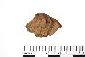     002-136.1a.JPG - Prehistoric body sherd, decorated, from site 12CR1
        
