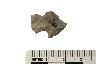     002-021.1a.JPG - Projectile point, from site 12MO193
        
