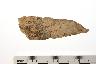     002-040.1a.JPG - Projectile point, from site 12MO193
        

