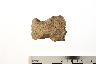     002-013.1a.JPG - Projectile point, from site 12MO193
        
