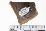     001-183.1a.JPG - Historic body sherd, undecorated, from site 36FA91
        
