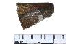     008-009.1a.JPG - Historic rim sherd, decorated, from site 36FA404
        
