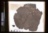     amnh-29-0-6795a.jpg - Perishable: Carbonized Basket AMNH 29.0-6795
        
