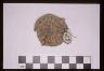     amnh-29-0-9502a.jpg - Perishable: Coiled Basket AMNH 29.0/9502
        
