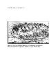 New York African Burial Ground History Final Report. Report and Bibliography
