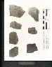 Green Sherd Images