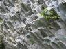     fig-50-basalt-columns.jpg - The Archaeology of Highland Chiriquí Panama: Holmberg FIG 50 - Photo The basalt column quarry site 3
        
