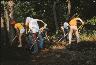     1977_backfilling.jpg 
        
