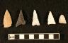 Posey (18CH281): Projectile Points