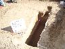     dsc01280.jpg 
        
