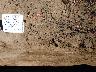     p1000014.jpg 
        
