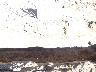     p1000017.jpg 
        
