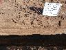     p1000018.jpg 
        
