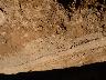     p1000023.jpg 
        
