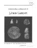 Ceramics, Lithics, and Ornaments of Chaco Canyon: An Analysis of Artifacts from Chaco Project, 1971-1978 Volume 1...