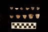     kieler-i-bifaces-stems.jpg 
        
