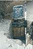     qbush-vat-photo-2.jpg 
        
