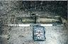     qbush-vat-photo-5.jpg 
        
