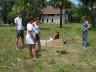     a175-960n-920e-impressed-visitors-turtle-techs.jpg 
        

