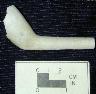     18HA30-FS-234--tobacco-pipe-2.jpg - MAC Lab Lot # 18HA30/234: Tobacco Pipe, Site 18HA30, Aberdeen Proving Ground, Maryland, US (Photograph 2 of 2)
        May 15, 2003
