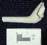     18HA30-FS-234--tobacco-pipe.jpg - MAC Lab Lot # 18HA30/234: Tobacco Pipe, Site 18HA30, Aberdeen Proving Ground, Maryland, US (Photograph 1 of 2)
        
