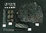     2006.006_3AT.JPG - Metal artifacts (after conservation treatment) from Site 18HA30, Old Baltimore, and 18HA242, Quiet Lodge, Aberdeen Proving Ground, Maryland, US.
        Feb 18, 2009

