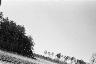 Excavation & Landscape Photographs, Roll 1 (Black & White), Fort A.P. Hill