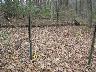     landmine area.tif - Landmine area, Fort A.P. Hill, Caroline County, Virginia 
        
