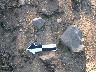     IMG_1355.JPG - Chipped stone cores at site AZ T:4:291(ASM)
        Dec 10, 2008

