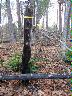     018_44CE0469_SouthFencePost_01Dec2006_FacingNorth.tif - 44CE0469, South Fence Post, Facing North, Fort A. P. Hill, Caroline County, Virginia
        Dec 1, 2006
