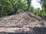     07_44TS0860_44CE0084_GradedBackfillPushpile_15Sep2008_FacingEast.tif - 44CE0084, Graded Backfill Pushpile, Facing East, Fort A.P. Hill, Caroline County, Virginia
        Sep 15, 2008
