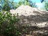     10_44TS0860_44CE0084_GradedBackfillPushpile_15Sep2008_FacingWest.tif - 44CE0084, Graded Backfill Pushpile, Facing West, Fort A.P. Hill, Caroline County, Virginia
        Sep 15, 2008
