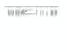 Final Report of Class III Cultural Resource Survey for the SCIDD Florence Canal, Phase I: Station 45+00 to 1224+00, Pinal County, Arizona: Photo...