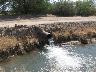     IMG_0967.JPG 
        

