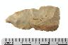     001-019.1a.JPG - Projectile point
        
