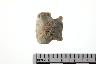     001-017.1a.JPG - Projectile point, from site 12B58
        
