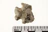     002-014.1a.JPG - Projectile point, from site 12B63
        
