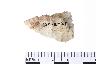     001-110.1a.JPG - Projectile point
        
