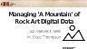 Managing 'A Mountain' of Rock Art Digital Data