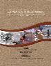 Preliminary Report for Phase 1 Data Testing at AZ U:15:1(REC) on Private Land and Mapping of Historic Architecture at AZ AA:3:215(ASM) and AZ U:16:303(ASM) on Federal Land near Ashurst-Hayden Diversion Dam, Pinal County,...