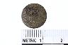     002-1172.1a.JPG - Button, Stamped brass button, from site 12WB116
        
